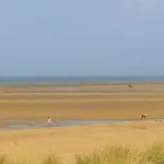 Seaview Cottage