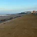 Gone To The Beach Flat 1