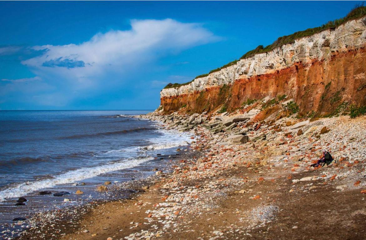 Avocet House 250m From The Sea Holiday home *