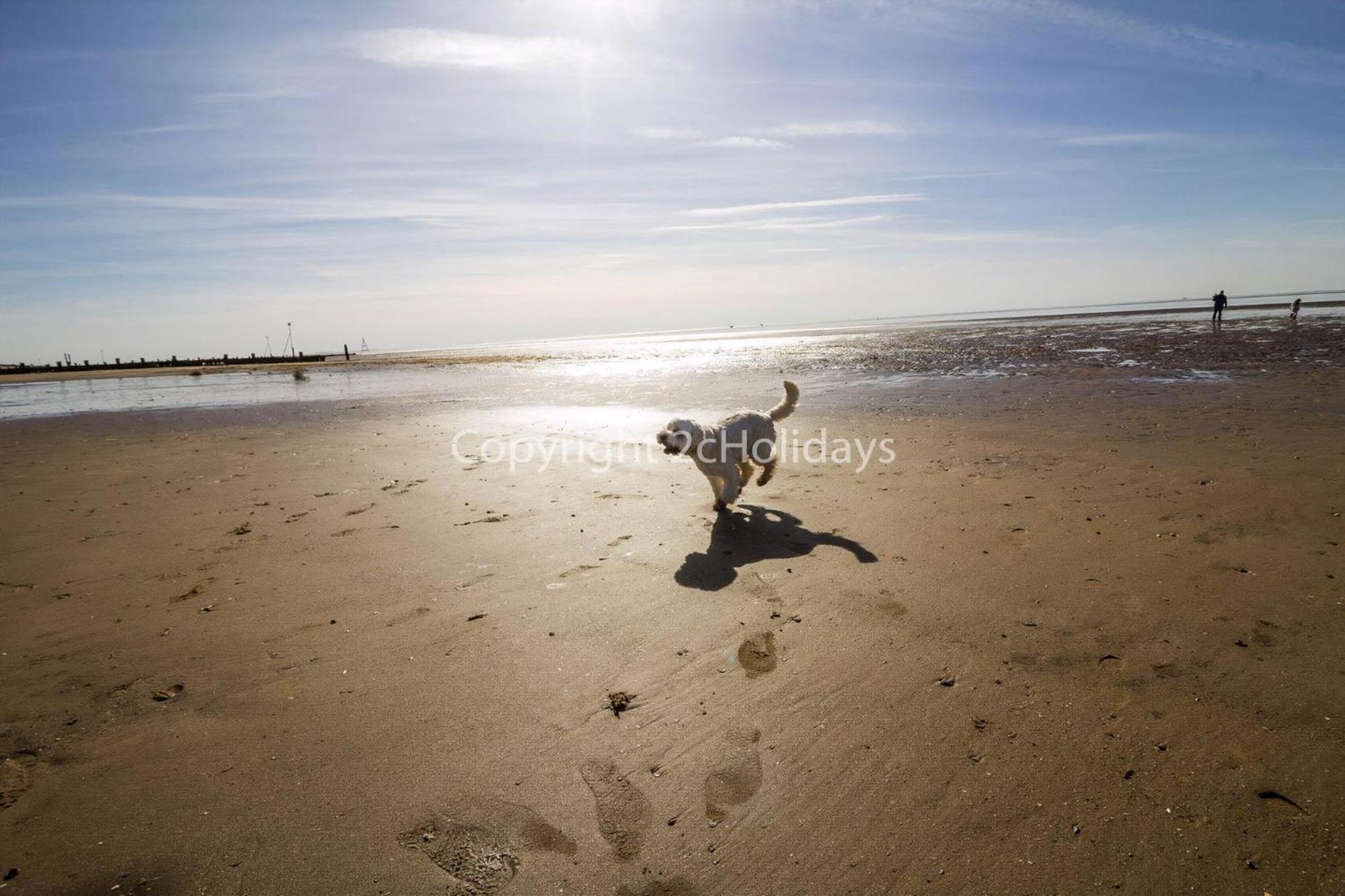 6 Berth Pet Friendly Caravan In By The Ref 13001l *