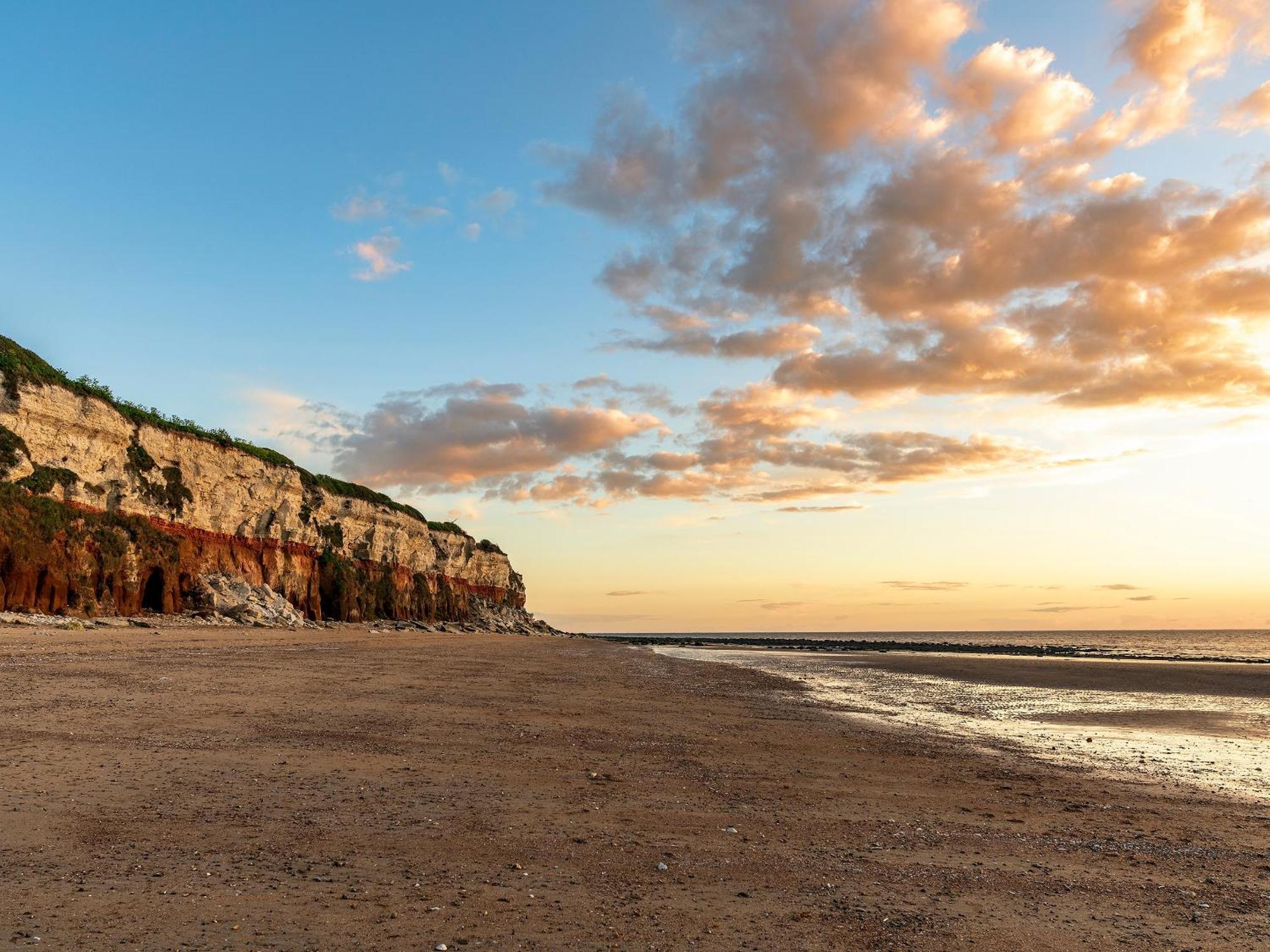 Mr Seal - Uk41452 Hunstanton
