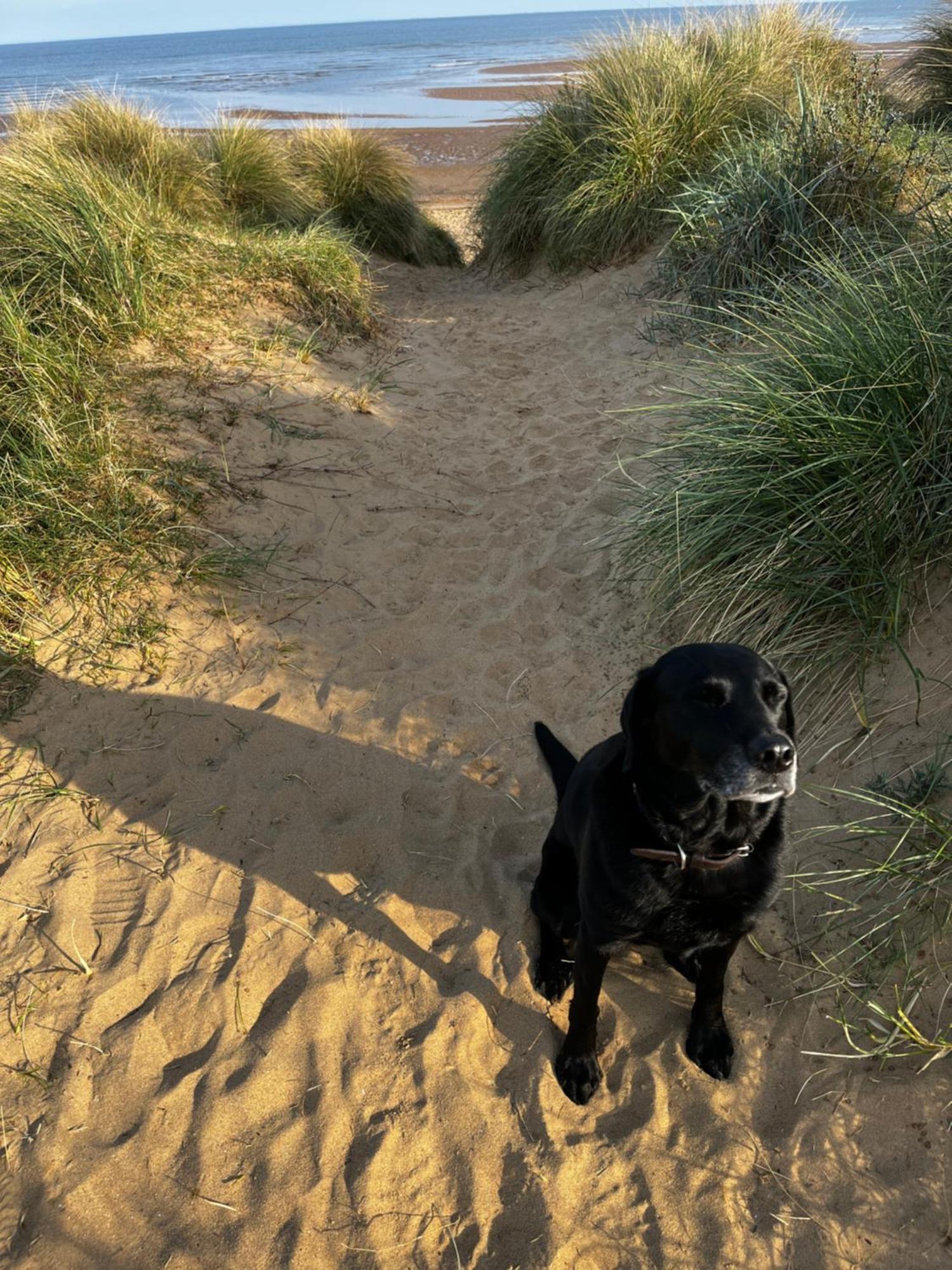 Holiday home Smugglers Retreat Hunstanton