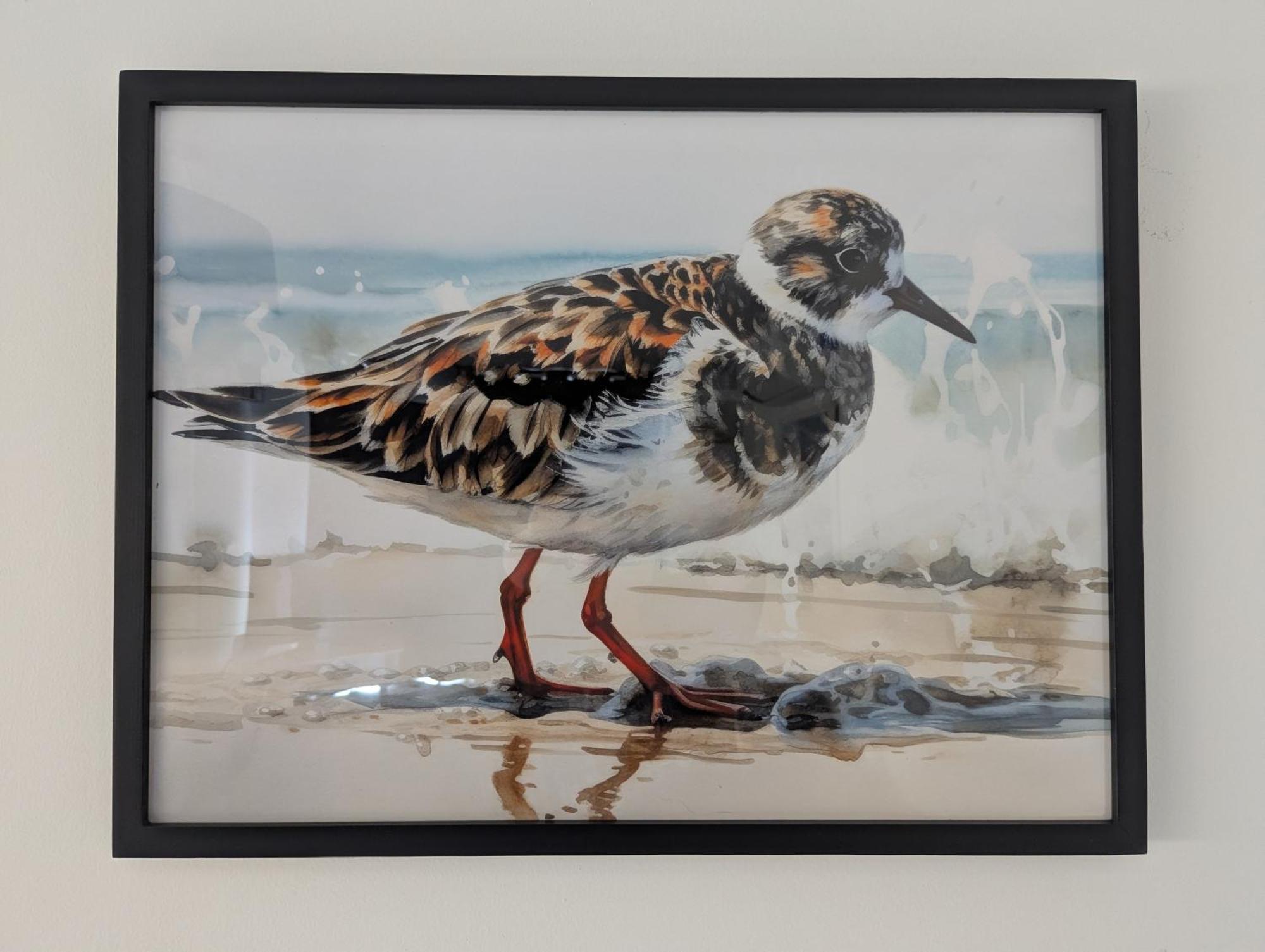 Turnstone Holiday home