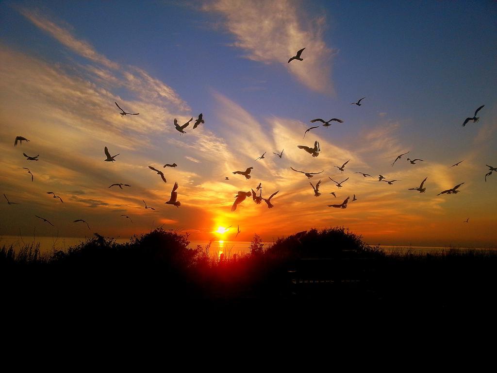 Sunset Hunstanton