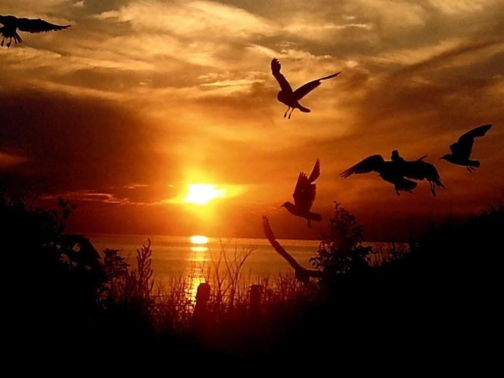 Sunset Bed & Breakfast 5*