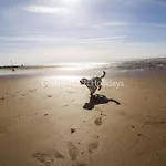 6 Berth Caravan For Hire In Hunstanton By The Beach In Norfolk Ref 13002L